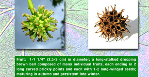 cutout image of student field guide page